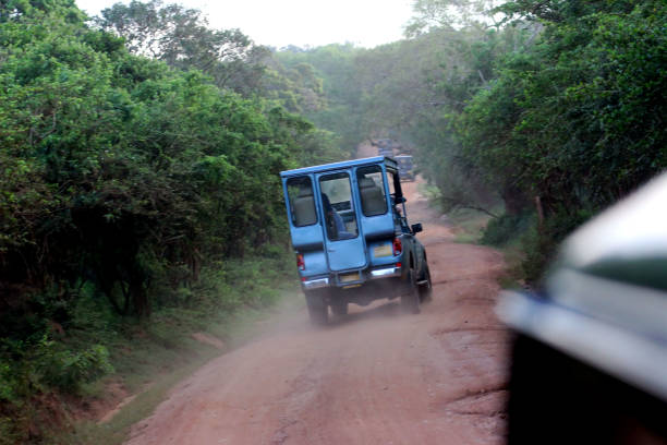 istock safari in Yala national park 802181180