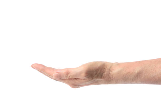 istock Isolated shot of open palm up left hand against white background 802187104