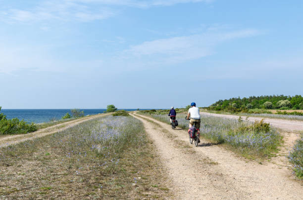 Oland, Sweden - June 9, 2017: Cyclists in beautiful nature at the swedish island Oland in the Baltic Sea