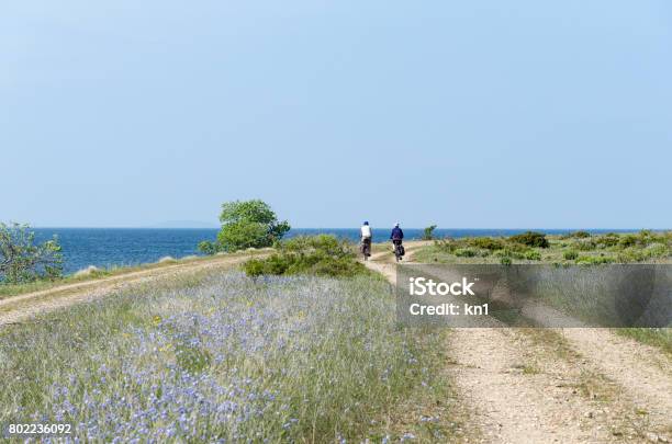 Radwanderer Auf Eine Schöne Küstenstraße Stockfoto und mehr Bilder von Radfahren - Radfahren, Schweden, Sommer