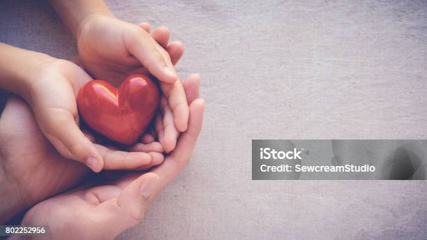 Adult And Child Hands Holding Red Heart Health Care Love And Family Concept Stock Photo - Download Image Now