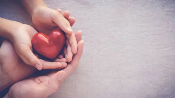 Photo of adult and child hands holding red heart, health care love and family concept