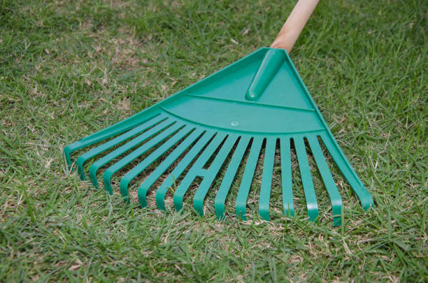 rake stock photo