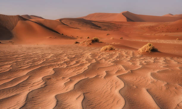 istock Desert landscape in the Namib Desert, Namibia. 802260480