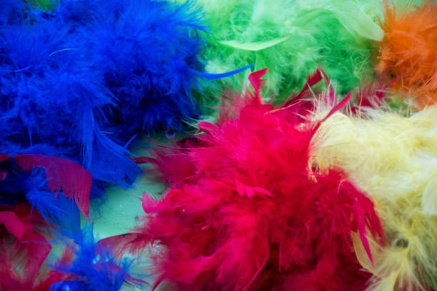 istock Brightly coloured Feather boas ready to be used by dancers. 802266838
