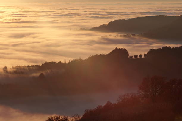 istock Sea of fog at sunset 802266848