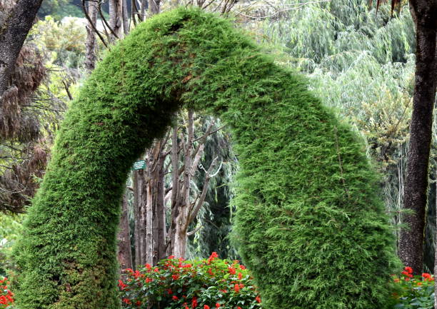 istock Natural Gate - Enter the Beauty 802267128