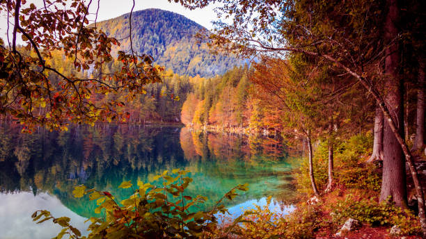 istock Autumn morning at the alpine lake 802269550
