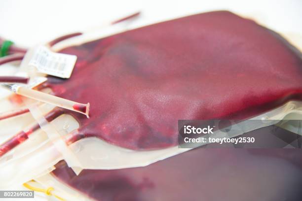 Red Blood Bag In Lab Stock Photo - Download Image Now - Anemia, Bag, Blood