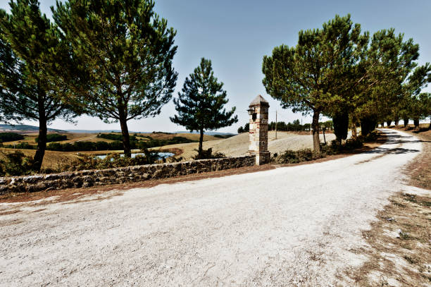 Driveway to the Italian manor house between stubble fields on the hills of Tuscany. Tuscany landscape with a pond after harvest. Dirt road between plowed fields in Italy. Vintage style toned picture