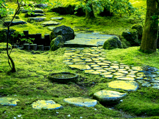 Looking at stone steps with intense green moss and bushes. Located in the Portland Japanese Garden in Portland, Oregon.