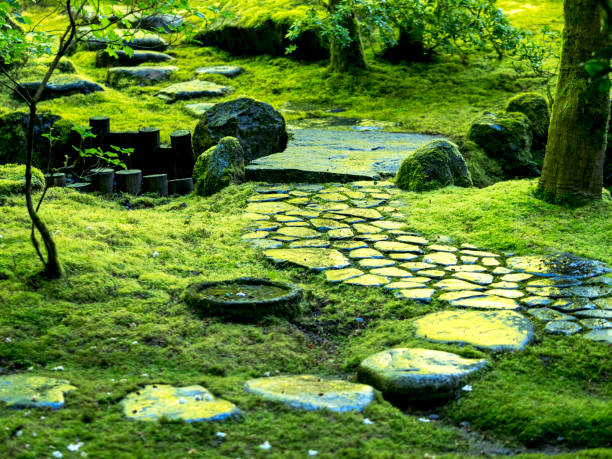 Stone Steps Green Moss Japanese Garden Oregon “CreativeContentBrief” 700060701 Looking at stone steps with intense green moss and bushes. Located in the Portland Japanese Garden in Portland, Oregon. portland japanese garden stock pictures, royalty-free photos & images