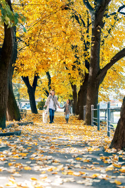 istock Family out for a walk 802273534