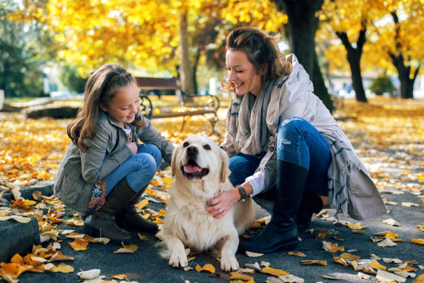 istock Family playing with dog on the park 802273632