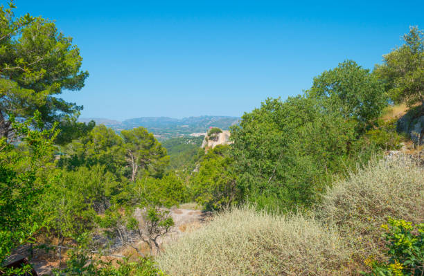 istock Hilly landscape of Spain in summer 802279018