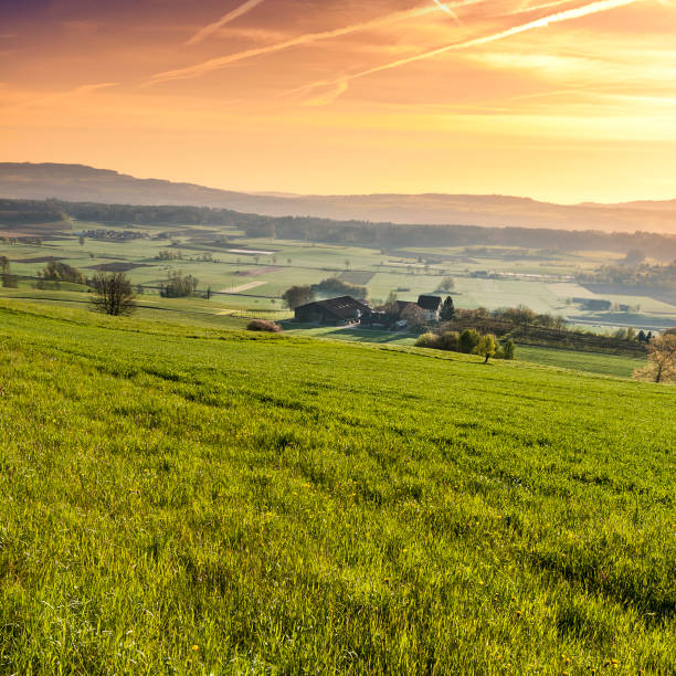 istock Sunrise in Swiss Alps 802281550