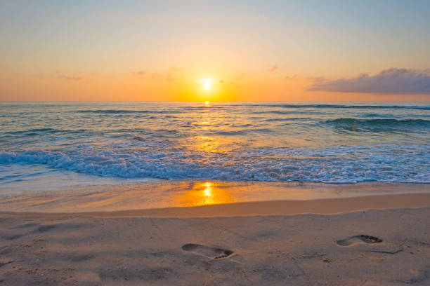 istock Sunrise over sea and sandy beach in spring 802281812