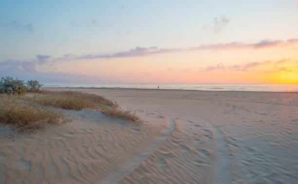 istock Sunrise over sea and sandy beach in spring 802282262