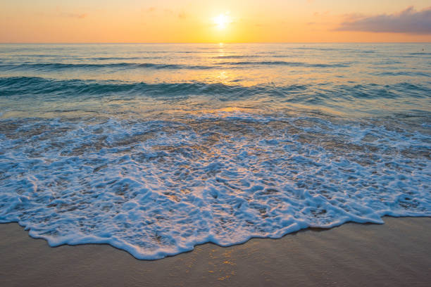 istock Sunrise over sea and sandy beach in spring 802284338