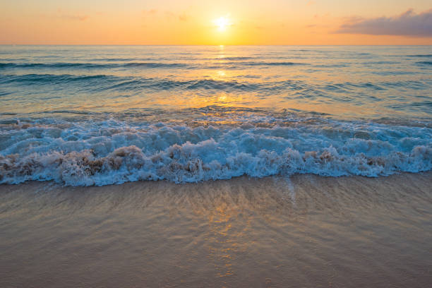 istock Sunrise over sea and sandy beach in spring 802290614
