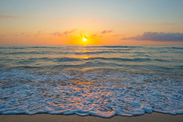 istock Sunrise over sea and sandy beach in spring 802291362