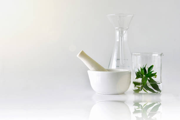 Natural organic botany and scientific glassware, Alternative herb medicine, Natural skin care beauty products Natural organic botany and scientific glassware, Alternative herb medicine, Natural skin care beauty products, Research and development concept. glass mortar and pestle stock pictures, royalty-free photos & images