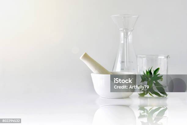 Natural Organic Botany And Scientific Glassware Alternative Herb Medicine Natural Skin Care Beauty Products Stock Photo - Download Image Now