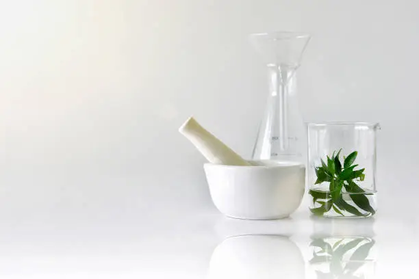 Photo of Natural organic botany and scientific glassware, Alternative herb medicine, Natural skin care beauty products