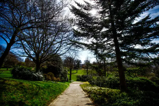 Photo of Park in wuppertal