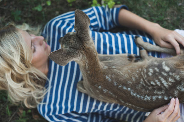 istock Young woman and young deer outdoor 802303722