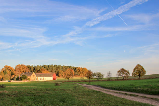 istock lane leads to houses at the forest 802304650