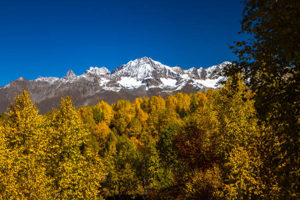 istock Humped peak of Mount Ushba, Georgia. 802307878