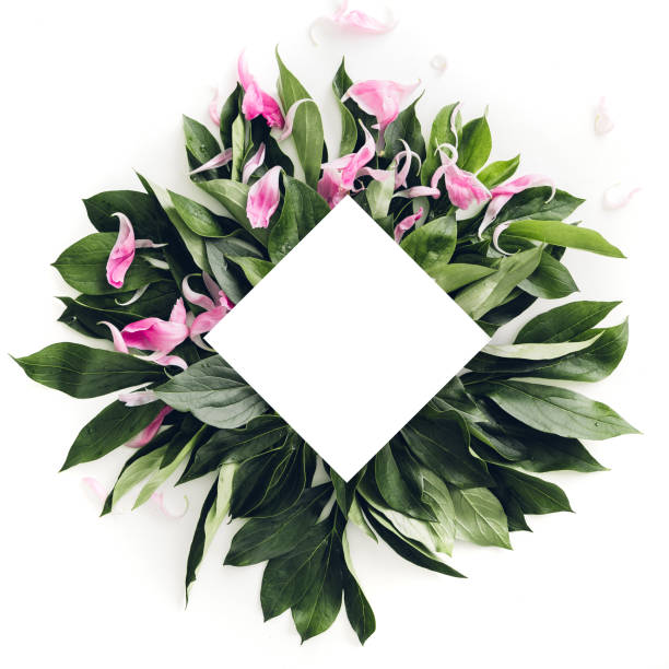 istock Pastel wooden frame decorated with green leaves, space for text. mock up 802317048