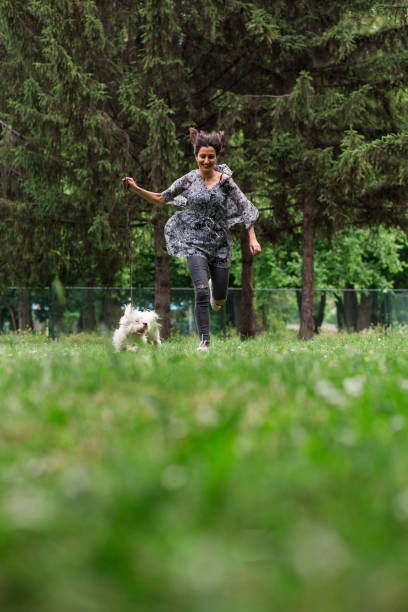 istock Playful Girl Chasing Her White Maltese Dog 802317748