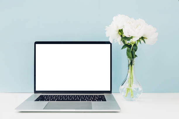 Laptop with white blank screen and flowers in vase on table on blue background. mock up