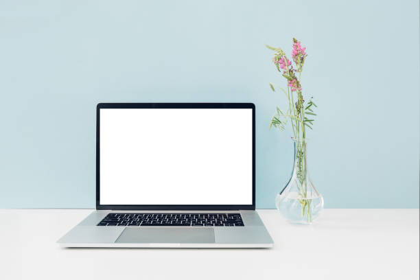istock Laptop with white blank screen and flowers in vase on table on blue background. mock up 802321582