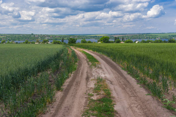 Earth road between unripe wheat fields leading to Pershe Travnia village in central Ukraine Earth road between unripe wheat fields leading to Pershe Travnia village in central Ukraine dnipropetrovsk stock pictures, royalty-free photos & images