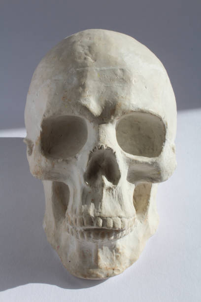 istock White plaster statue of human head skull on blue grey background 802325428