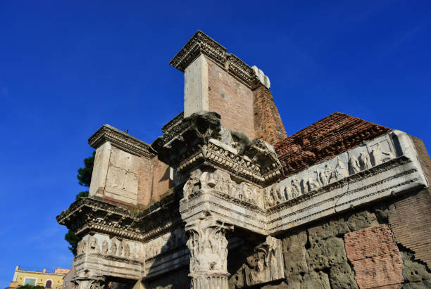 istock Forum of Nerva in Rome 802329370
