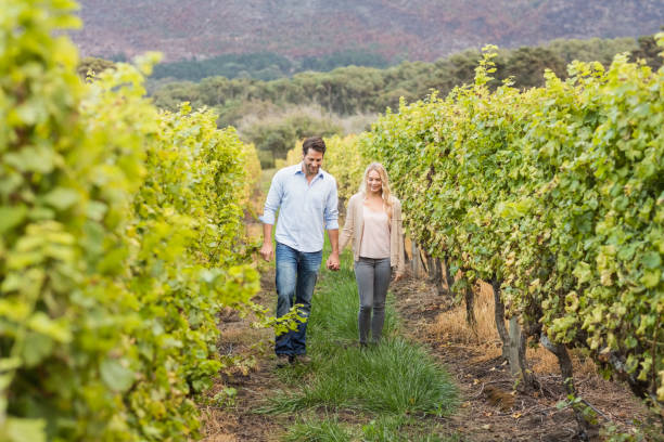 istock Young happy couple walking side by side while holding hands 802333880
