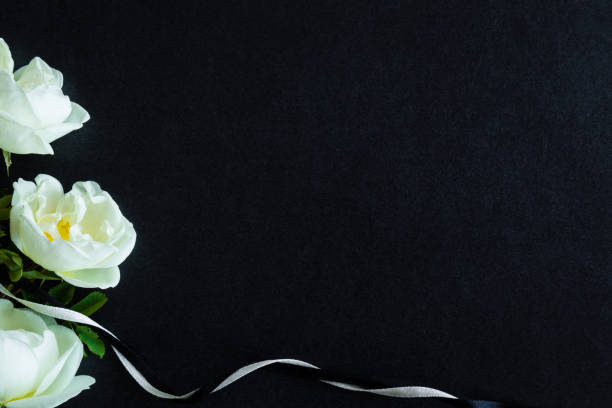 istock White roses on the dark background. Fresh flowers. Condolence card. 802338224