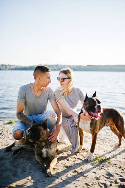 istock Couple in love with two dogs pit bull terrier 802340836