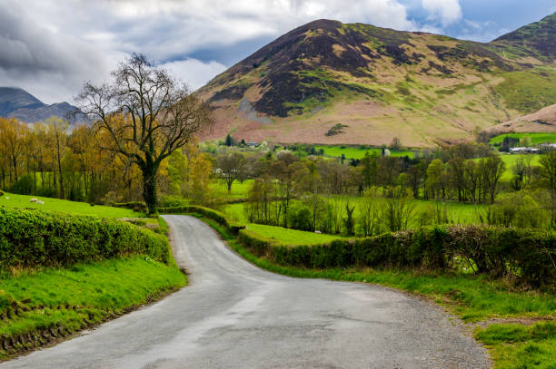 istock Country lane in Lake District 802362266