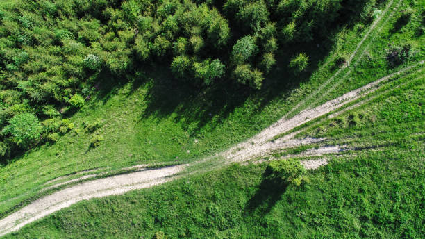 воздушный выстрел дороги в зеленом лесу - landscape aerial view lumber industry agriculture стоковые фото и изображения