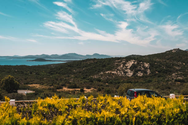 istock Parked car behind hedge in summer mountain landscape. 802381346