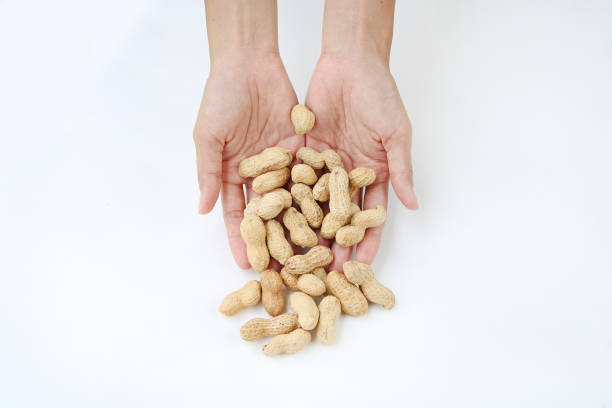 istock Hands holding peanuts in the shell isolated on white background. 802399034