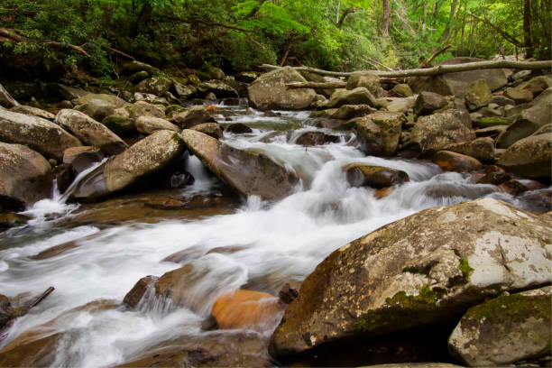 montanhas great smoky cachoeira - gatlinburg great smoky mountains national park nature water - fotografias e filmes do acervo