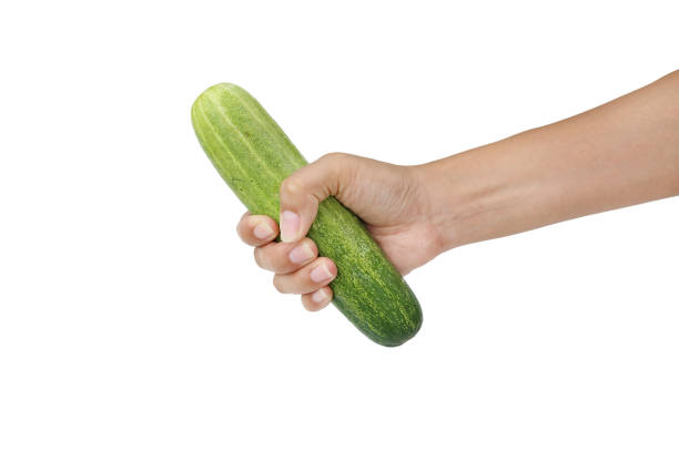 hand holding Cucumber isolated on white background.