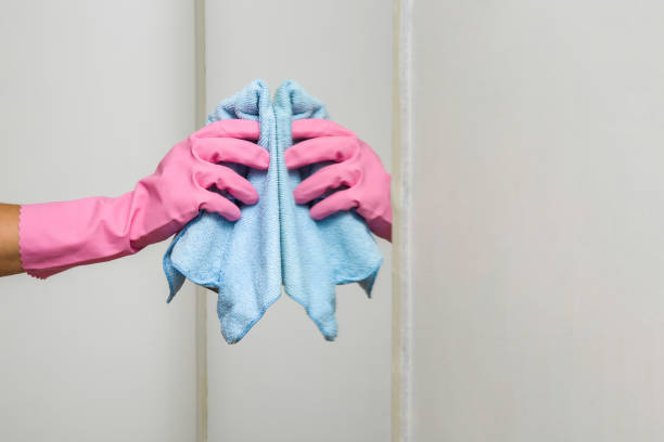 istock Hand in pink rubber protective glove with blue microfiber rag cleaning wall mirror. Early spring cleaning or regular clean up. Maid cleans house. 802402500