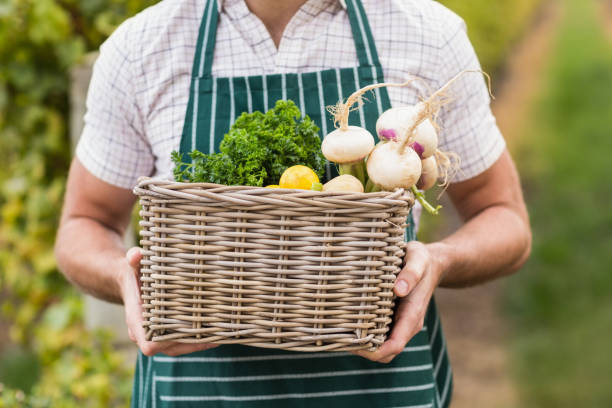 istock Young happy farmer holding a basket of vegetables 802403154